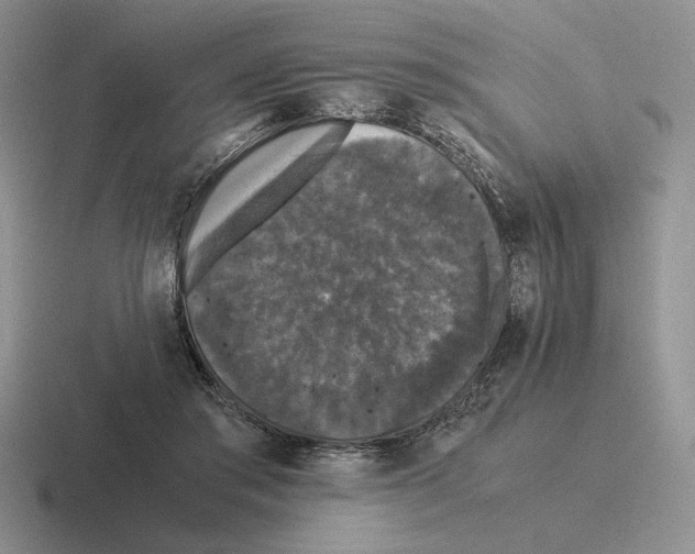 X0000116440405201001051209