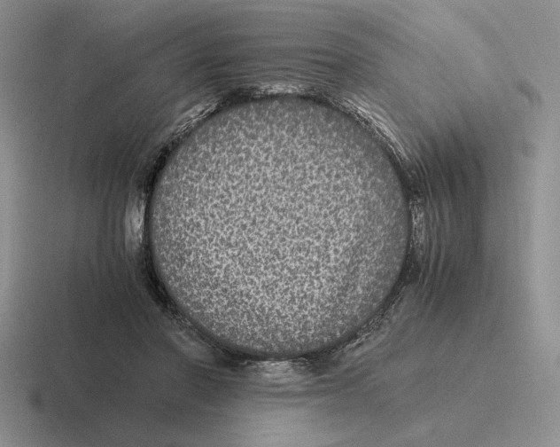 X0000116440406201001051209