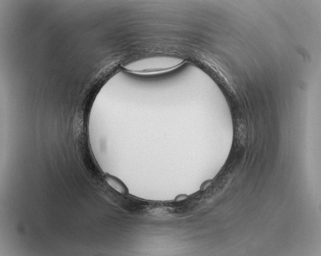 X0000116440407201001051209