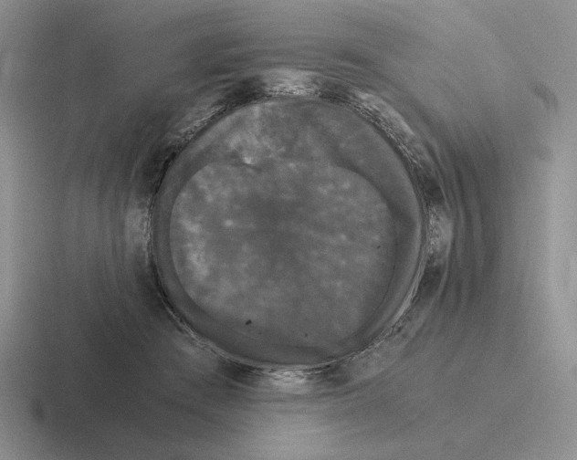 X0000116440409201001051208