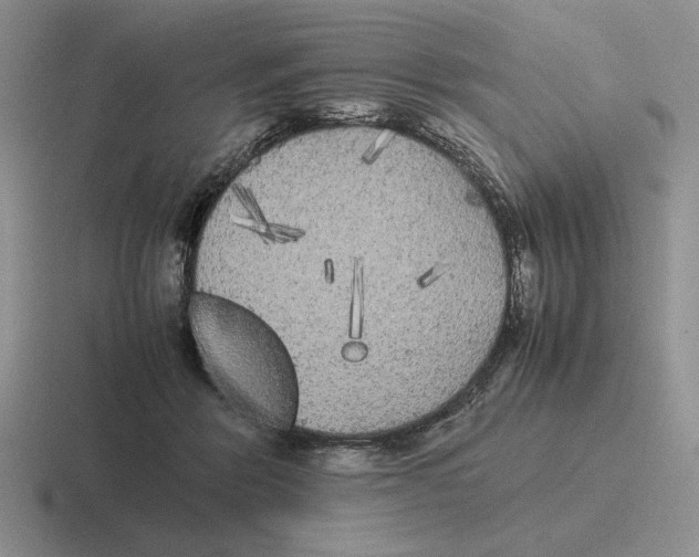 X0000116440412201001051208