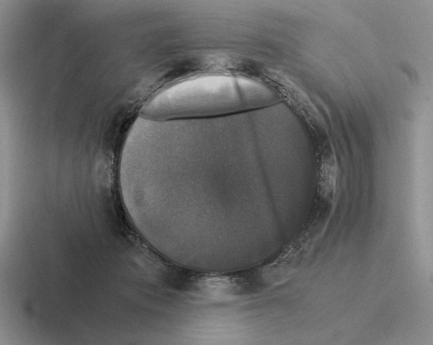 X0000116440413201001051208