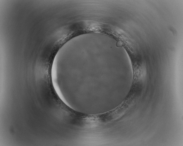 X0000116440415201001051208