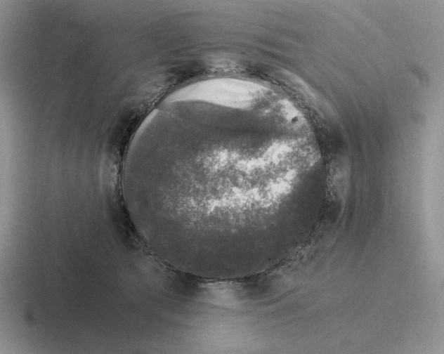 X0000116440417201001051208