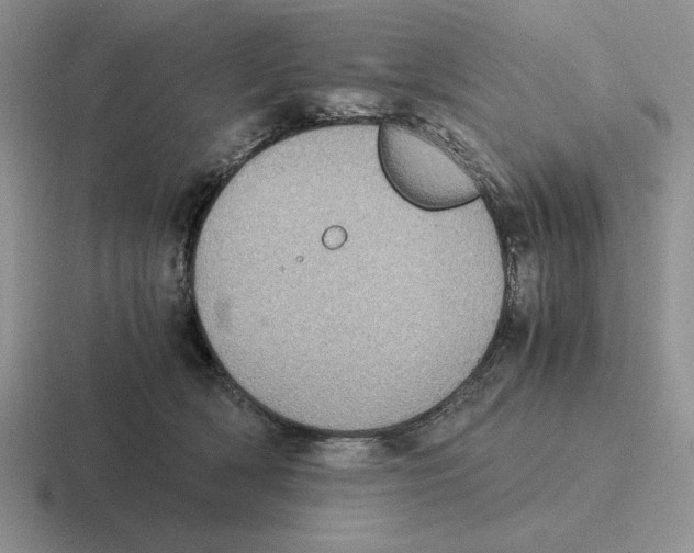 X0000116440418201001051208