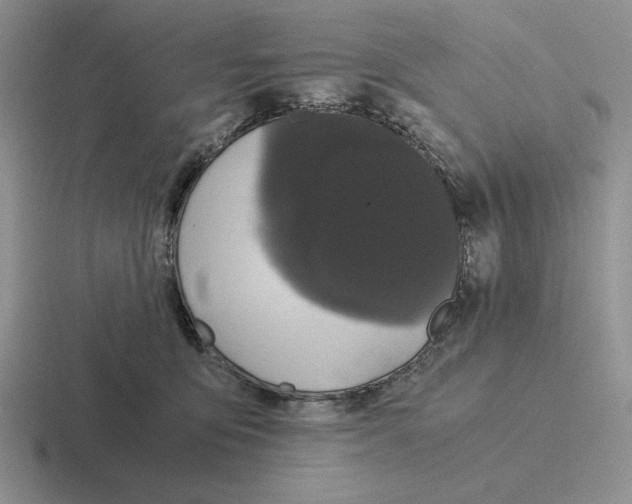 X0000116440419201001051208