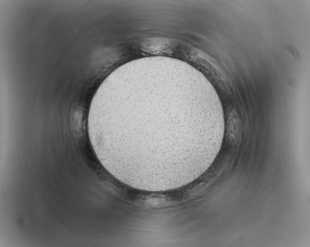 X0000116440420201001051208