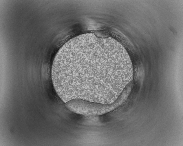 X0000116440421201001051208