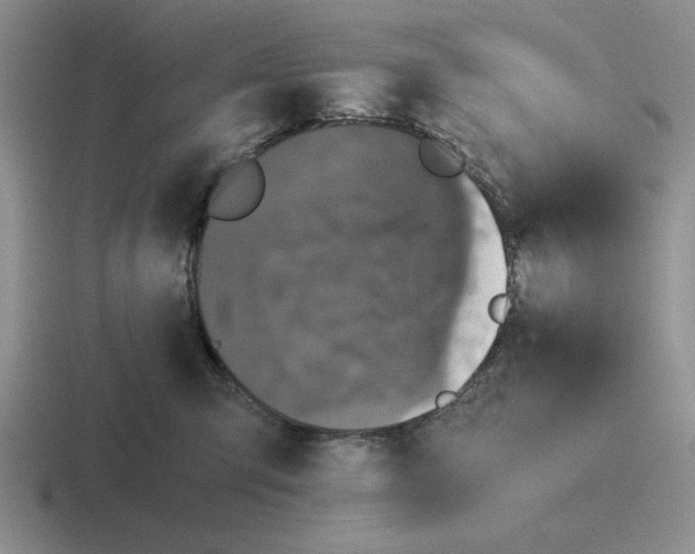 X0000116440423201001051208