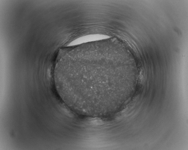 X0000116440424201001051208