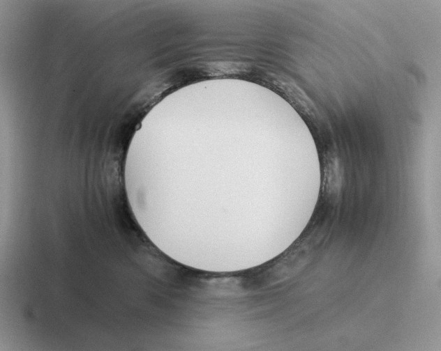 X0000116440426201001051208