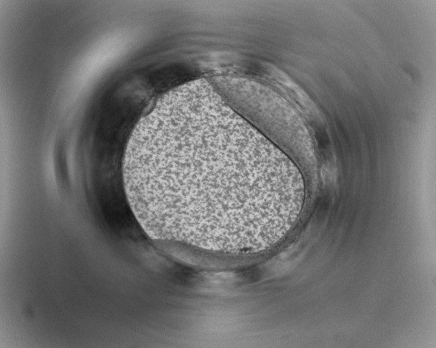 X0000116440429201001051208