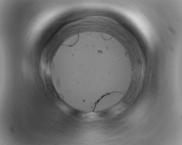 X0000116440431201001051208