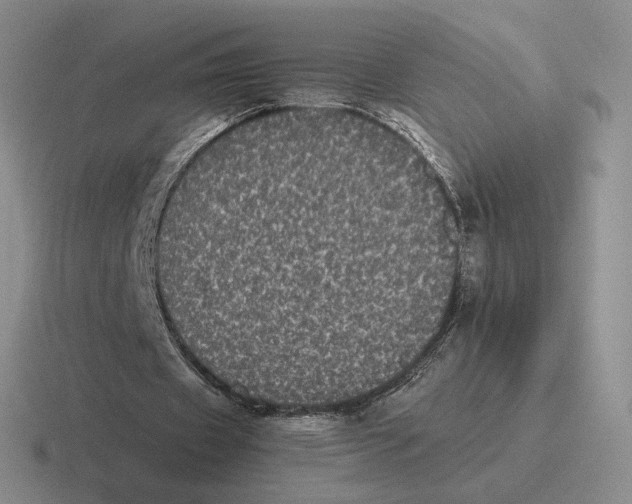 X0000116440433201001051208