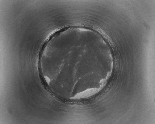 X0000116440434201001051208