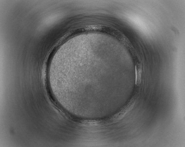 X0000116440435201001051208