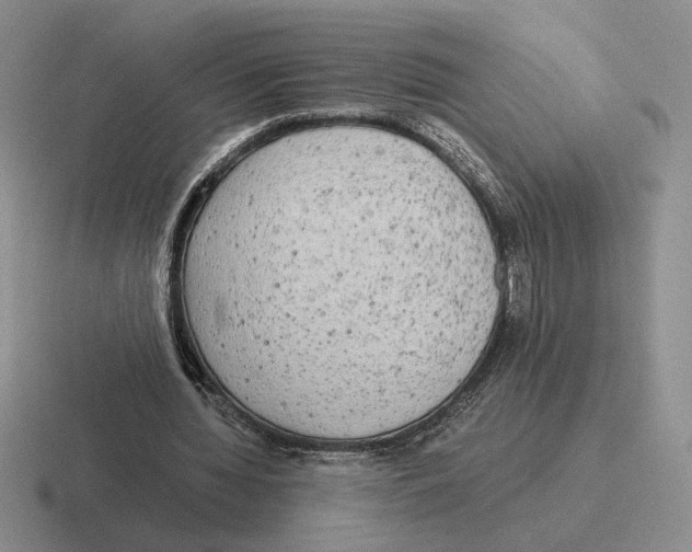 X0000116440436201001051208