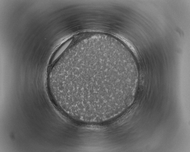 X0000116440437201001051208