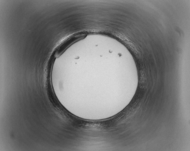 X0000116440440201001051208