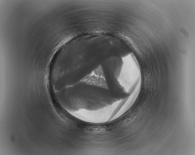 X0000116440443201001051208