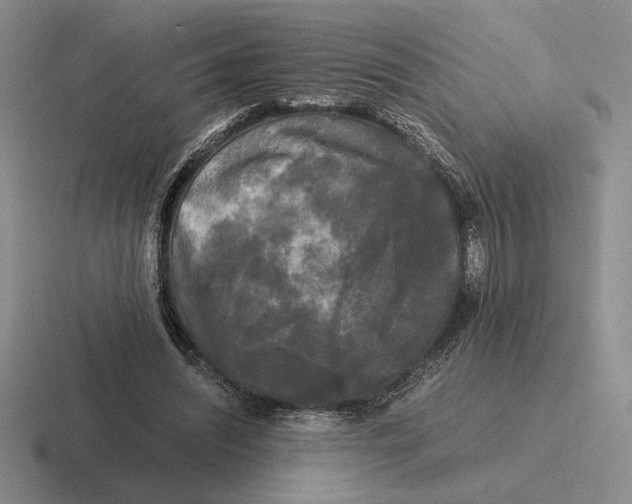 X0000116440444201001051208