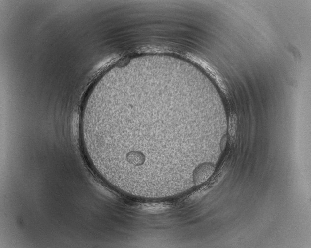 X0000116440445201001051208