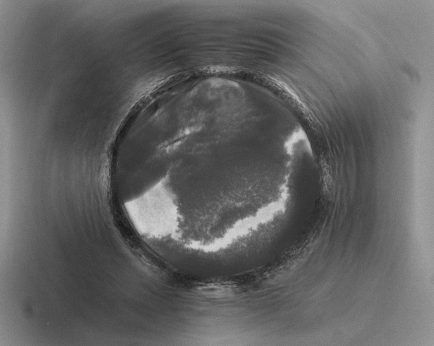 X0000116440447201001051208