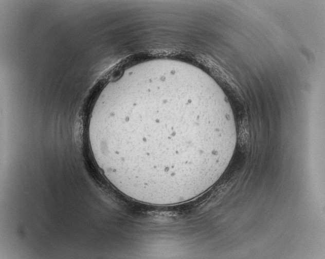 X0000116440448201001051208