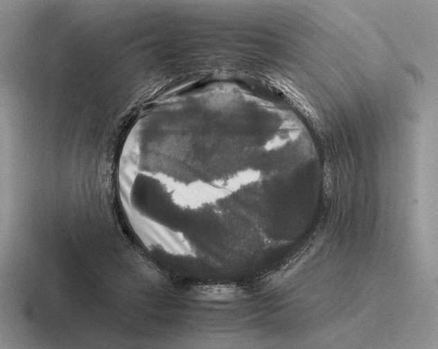 X0000116440449201001051208