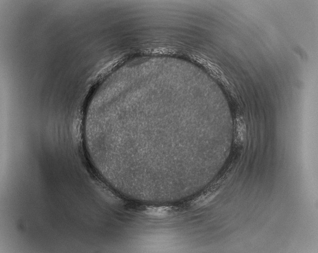 X0000116440450201001051208