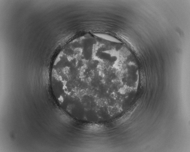 X0000116440453201001051208