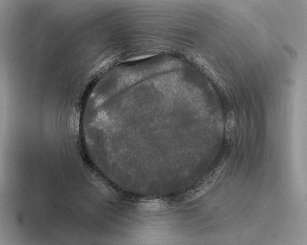 X0000116440454201001051208