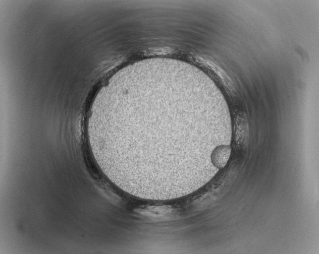 X0000116440455201001051208