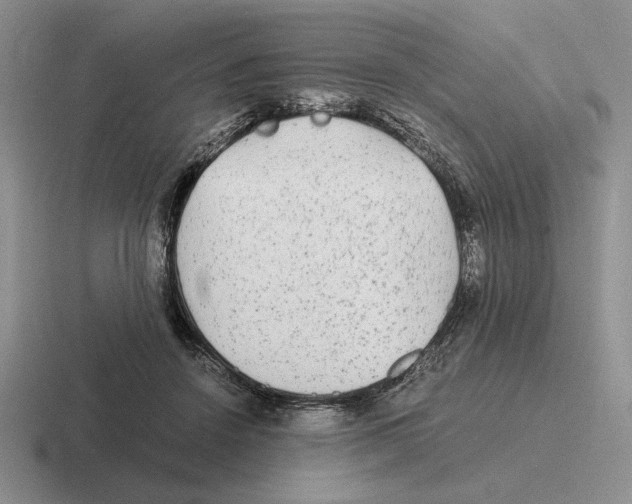 X0000116440456201001051208