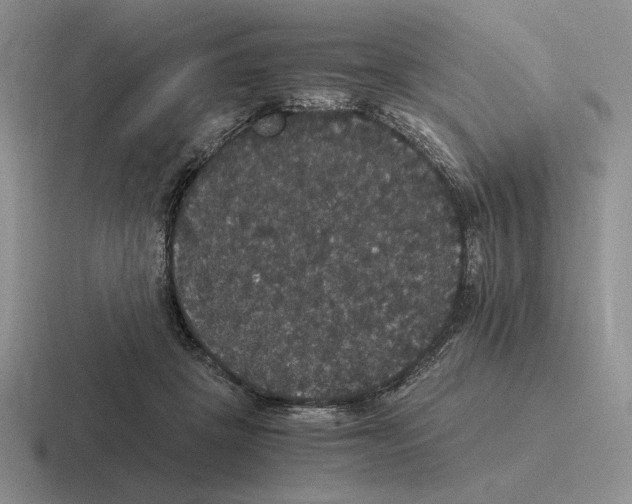 X0000116440457201001051208