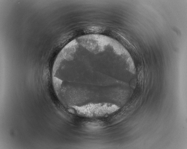 X0000116440459201001051208