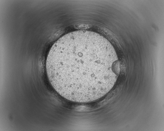 X0000116440460201001051208