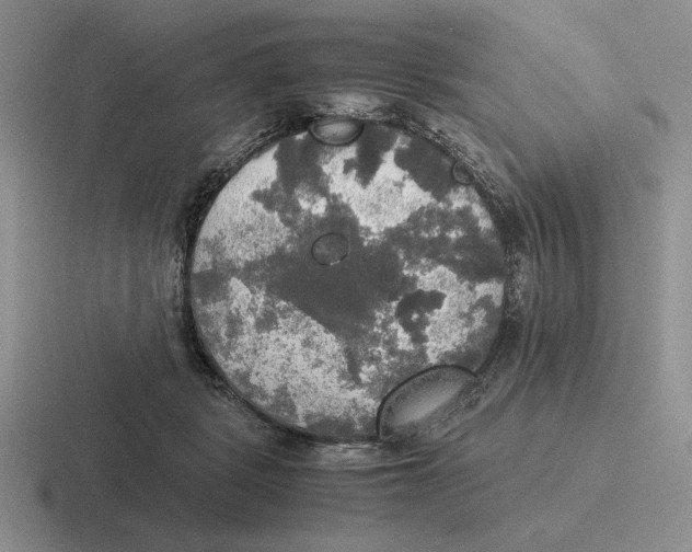 X0000116440461201001051208