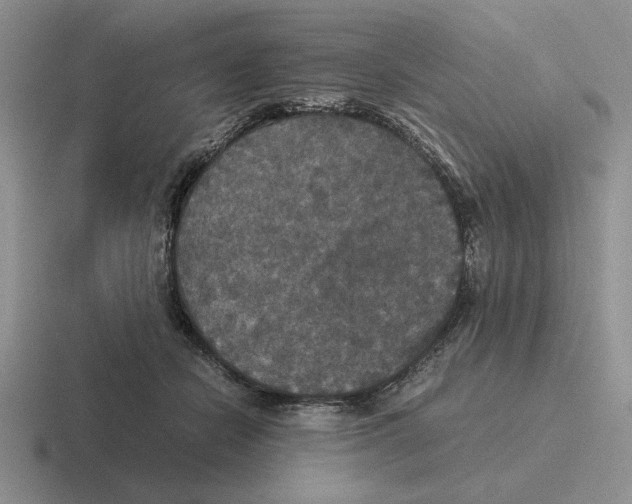 X0000116440462201001051208