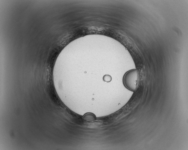 X0000116440463201001051208