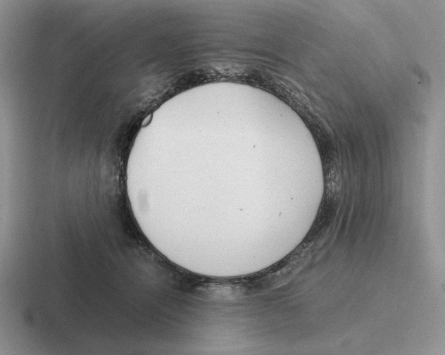 X0000116440464201001051208