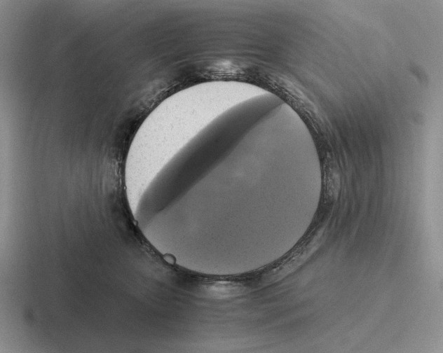 X0000116440467201001051208