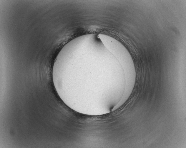 X0000116440470201001051208