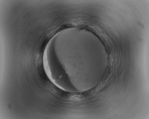 X0000116440471201001051208