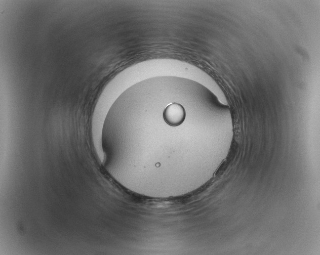 X0000116440472201001051208