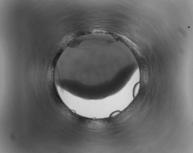 X0000116440475201001051208