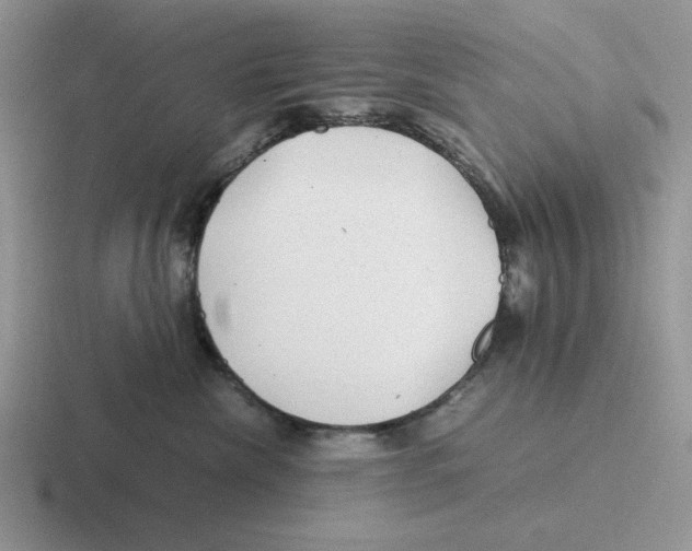 X0000116440476201001051208