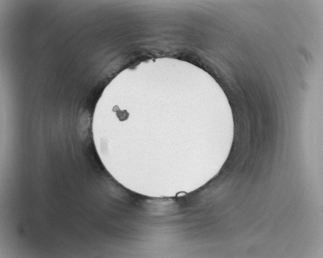 X0000116440480201001051208