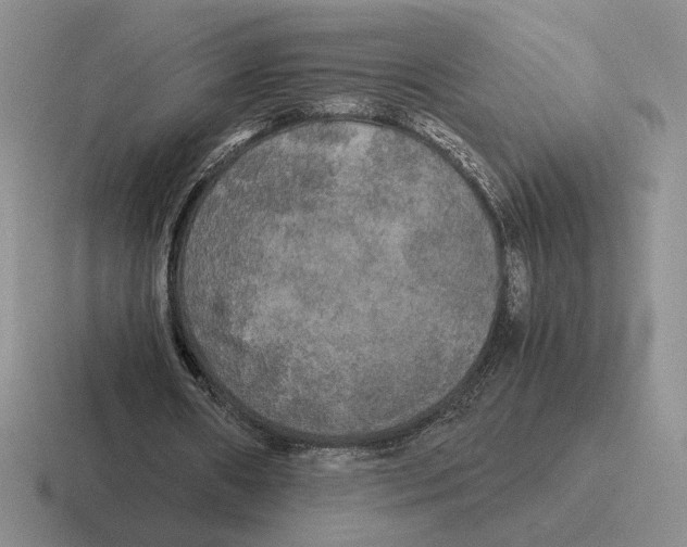 X0000116440482201001051208