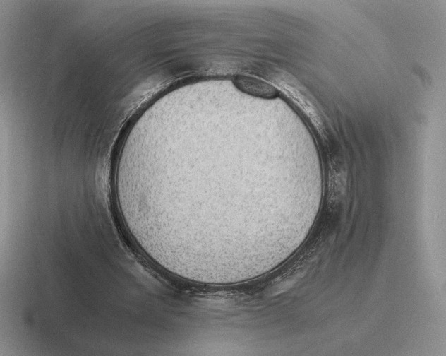 X0000116440485201001051208